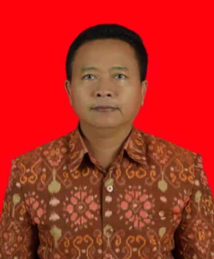 Prof. Dr. Ir. I Ketut Widnyana, M.Si.
